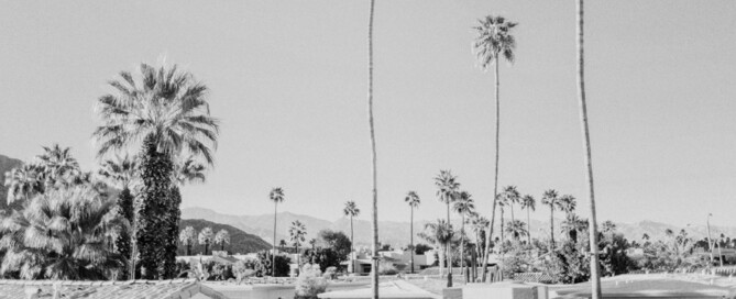 When and Why Palm Springs Residents Should Update their Estate Plan
