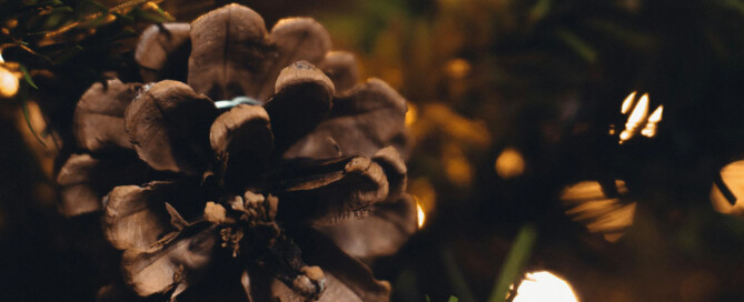 Estate Planning Palm Springs